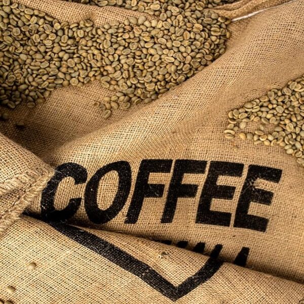 واردات و فروش قهوه سبز 09354752350
