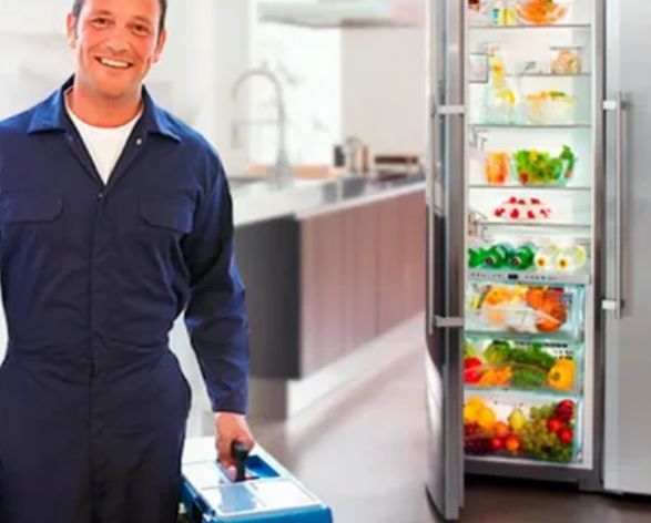 شماره تلفن تعمیر کار تخصصی یخچال فریزر 09121507825