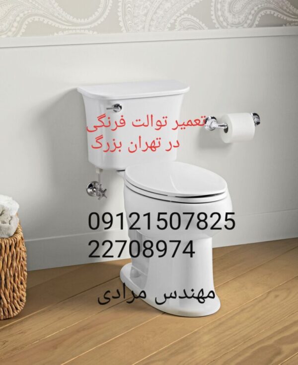 فروش_خدمات و تعمیر توالت فرنگی توتو toto 09121507825