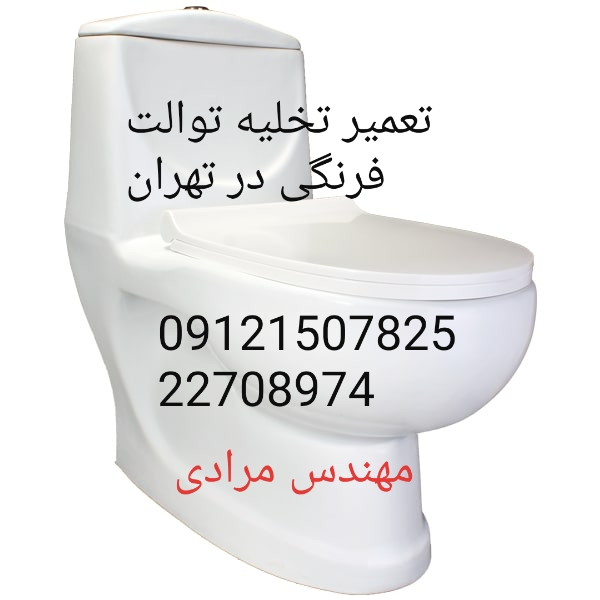 فروش و خدمات توالت فرنگی دیواری و زمینی بلونی 22420460
