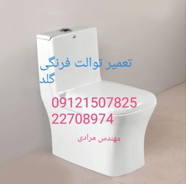 فروش و خدمات توالت فرنگی دیواری و زمینی گلد 22420460