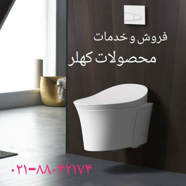 فروش دکمه تخلیه فلاش تانک توکار کهلر 09121507825
